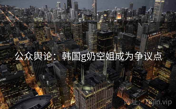 公众舆论：韩国g奶空姐成为争议点