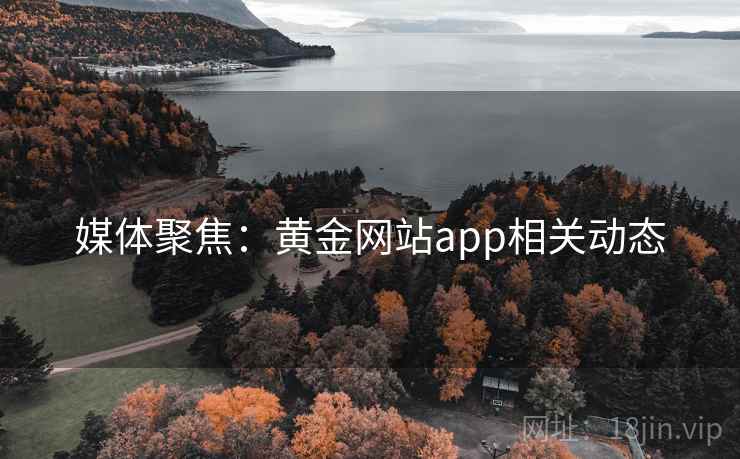 媒体聚焦：黄金网站app相关动态